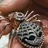 A Stunning Vintage Fabergé Spider Brooch Pawn Stars