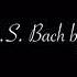 Hommage à J S Bach By Béla Kovács