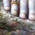 Hey Krishna Gopal Hari