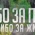 С днем победы С 9 Мая Спасибо за победу Спасибо за жизнь
