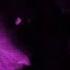 Anar Jpa Bero 02 Super Slowed And Reverb