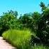 Even If You Want To Go Alone I Will Be Waiting When You Re Coming Home