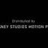 Distributed By Walt Disney Studios Motion Pictures 2007