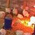 Куры несутся зимой как летом Chickens Rush In The Winter Like In The Summer