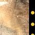 Oath Of The Crown QUICK Guide Baldur S Gate 3