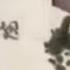 武汉第三医院的尸体情况 偷拍者方斌先生在当天下午已经被破门而入的警察抓走