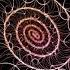 Strengthening Of The Immune System Audio File By Peter Garyaev