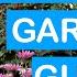 SUMMER GARDEN GUIDE Flowers Colourful Ideas For Your Summer Pots Borders Slug Control More
