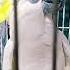 Who Are You Dude Macaw Cute Birds Birdlovers Cutie Beautiful Subscribe Abc Pets Parrot