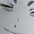 Savage Ga P Grim Salvo KAMAARA In Your Darkest Nightmares You Ll See Me