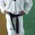 Taekwondo WTF Стойки