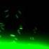 Крутой переход для монтажа видео