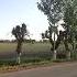 85 Narpay Tumani 21 05 2023 Da