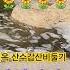 문희옥 산수갑산비둘기