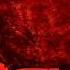 04 RED Already Over End Of Silence