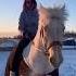Люби меня люби лошади рекомендации Horse выездка