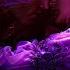 Eliminates Barriers That Hinder Love High Vibrations Of Love Attracting Your Soulmate Subliminal