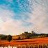 Symphony No 1 In C Minor Op 11 II Andante