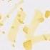 Troye Sivan WILD Lyric Video