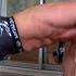 Bring Sally Up Push Up Challenge Отжимания ЧЕЛЛЕНДЖ