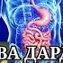 САБАБИ ДАРД ВА СУЗИШИ МЕЪДА ХАНГОМИ АСАБОНИЯТ