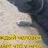 Каждый человек думает что у него самая лучшая собака