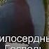 Коран Сура Ясин 36 58 Чтение Корана с русским переводом Quran Translation In Russian