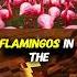5 Weird Facts That Ll Flip Your Brain The Last One Is INSANE Fyp