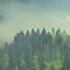 Гроза для Сна Медитации и Отдыха Sleepsounds Rainoundforsleep выспаться Rain Relax Storm