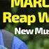 Marley Palmer Reap What You Sow