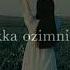 Tort Qadam
