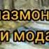ШЕРИ МОДАР