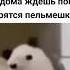 ёжик танцует
