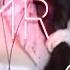 贝拉小姐姐ASMR 贝拉在你耳边呼呼哦