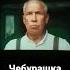 Shorts чебурашка чебурахнулся кино кинотеатр чебурашка в кинотеатре