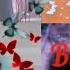 Killing Butterflies Equestrian Lyric Video
