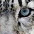 Martin Sas Something Beautiful Original Mix