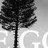Manchester Orchestra The Gold Official Video From A Black Mile To The Surface