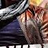 Rowdy Rajkumar New 2025 Released South Indian Movie In Hindi Superstar Vishal Action Movie
