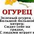 Стих про огурец