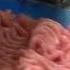 PSS SFV 720 PD 240 Filling And Cutting Minced Meat Meat Processing Meatlovers Speed
