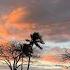 SOJA Don T Dream It S Over Fat Hawaii Music Video