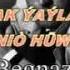 Ene Huwdisi Serdarym