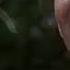 Future Belongs To Us Bob Foss The Film Cabaret I M A LEGEND2 2022 Will Smith Unofficial Trailer
