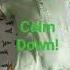 Baby Dancing Calm Down Shorts Calmdown Rema Baby Bebe Memes Español Bailando Adorable Cute