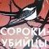 Энтони Горовиц Сороки убийцы аудиокниги детектив