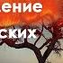 Интенсив Восстановление энергетических линий Рода НейроГрафика с Татьяной Алпатовой