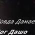 Шовда Дамаева дог дашо Чеченский и русский текст