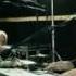 Depeche Mode Wrong Rehearsals HQ