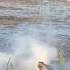 Aligator Eating A Drone Then Explodes In Its Mouth Crocodile Aligators Drone Crocodile